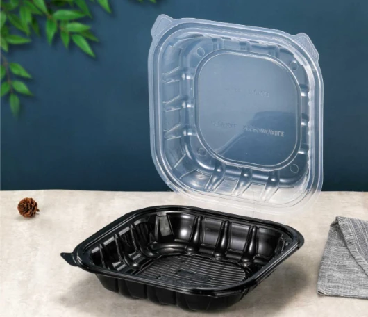 6x6x3-inch-pp-hinged-lunch-box 6x6x3-inch-pp-hinged-lunch-box